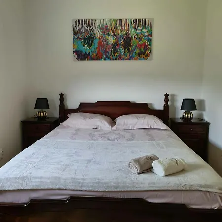 Coka Villa *