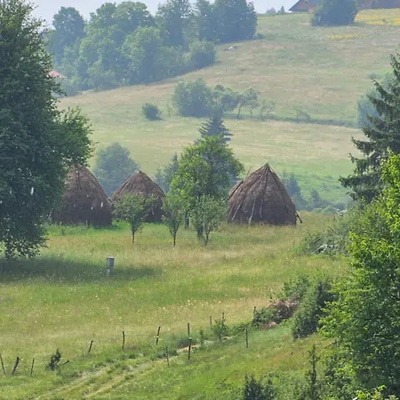 Coka Villa Nova Varoš