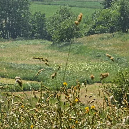 Вилла Coka Нова-Варош