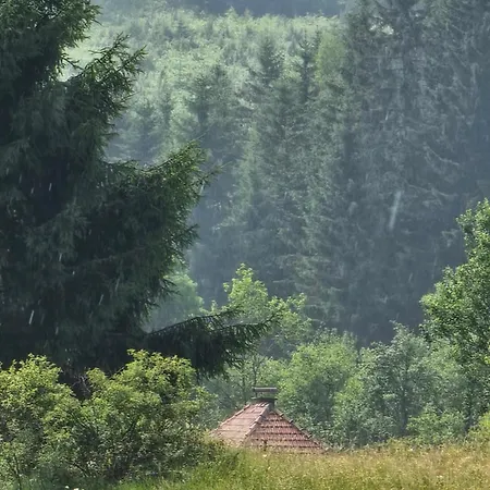 Coka * Нова-Варош