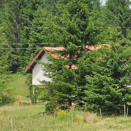 Coka Villa *